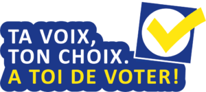 animation élections voter